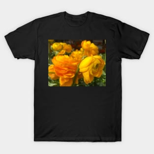 Precious and Tender Orange and Gold Ranunculus T-Shirt
